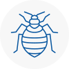 Bed Bug Extermination In Purley